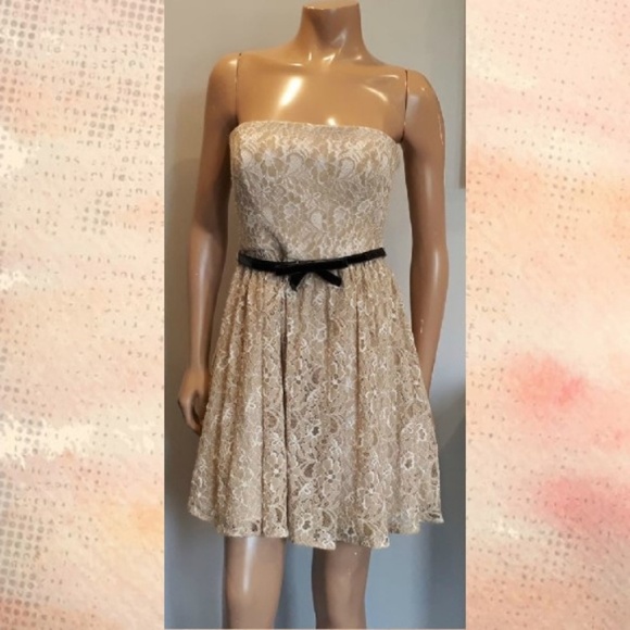 🩵MAX & CLEO Strapless Lace Dress Fit & Flare Bridal Shower Cocktail Neutral - Picture 3 of 12